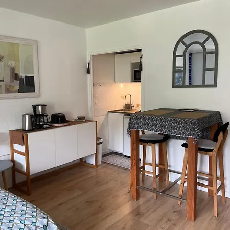 Appt Cosy , Vue Sur Le Revard , 5mn A Pied Du Centre , 10mn A Pied Des Thermes Et De La Gare إيكس ليه با