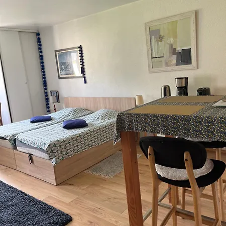 Appt Cosy , Vue Sur Le Revard , 5mn A Pied Du Centre , 10mn A Pied Des Thermes Et De La Gare شقة *